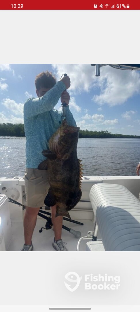 Marco Island Report Photo 0