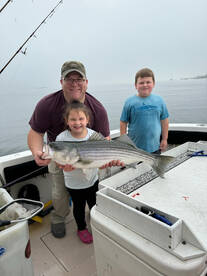 Beverly Report Photo 2