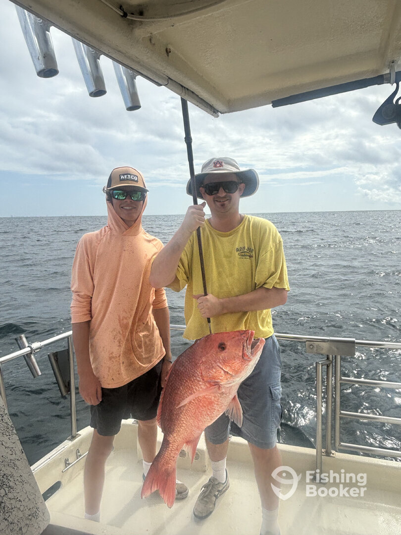 Orange Beach Report Photo 0