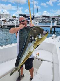 Mahi mahi action 