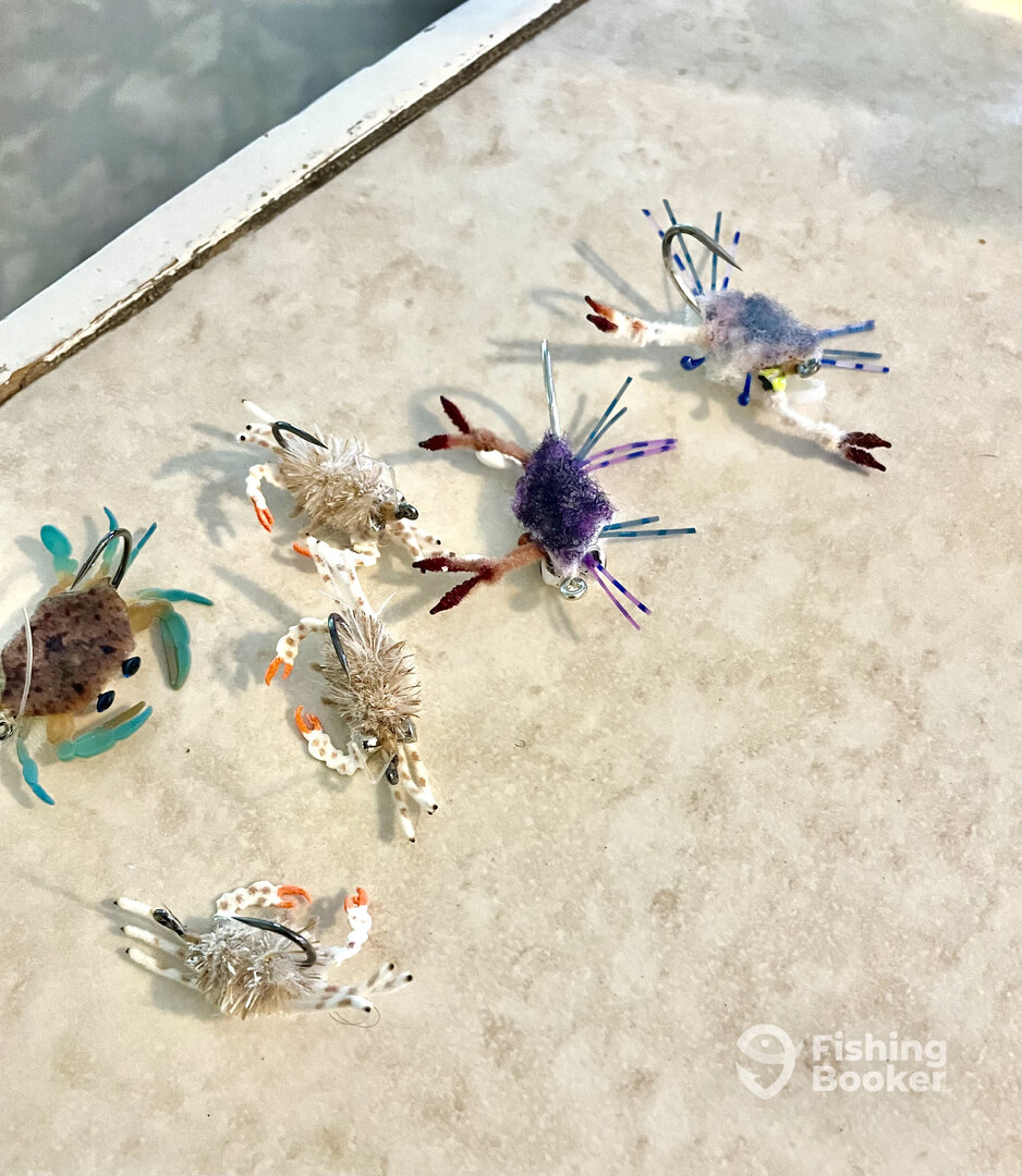 Islamorada Report Photo 0