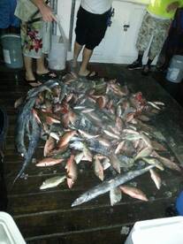 Fort Lauderdale Report Photo 1