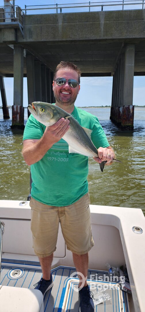 Ocean City Report Photo 0