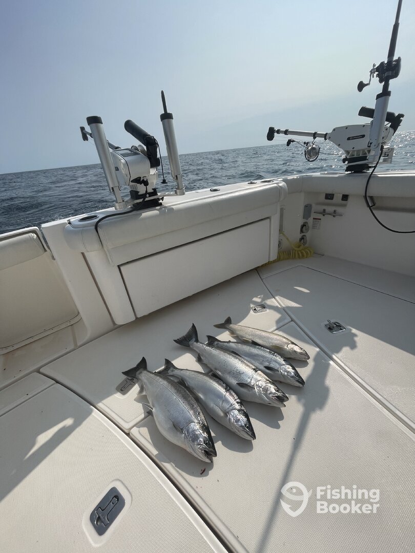 Chicago Report Photo 0