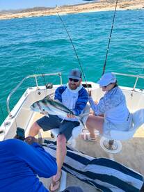 Cabo San Lucas Report Photo 2