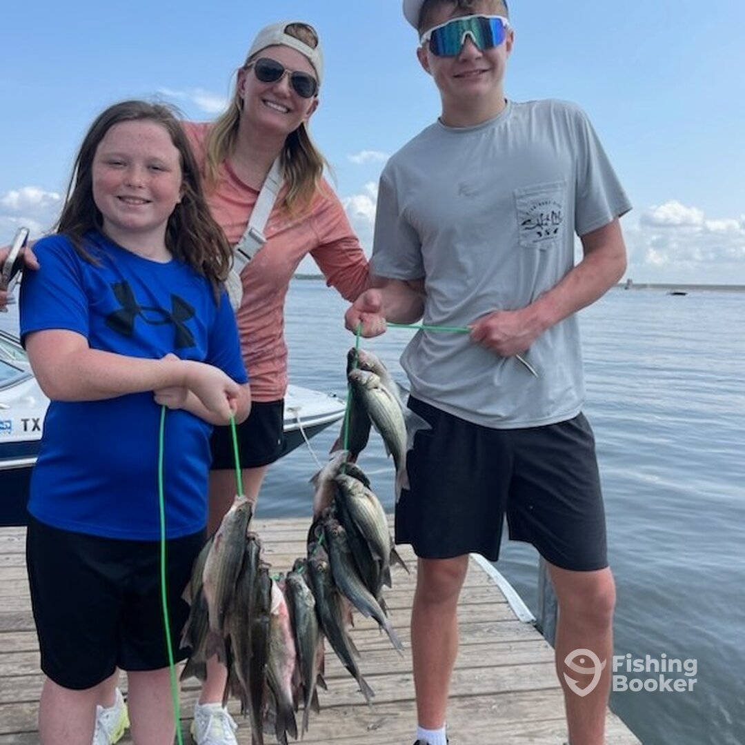 Grapevine Report Photo 0