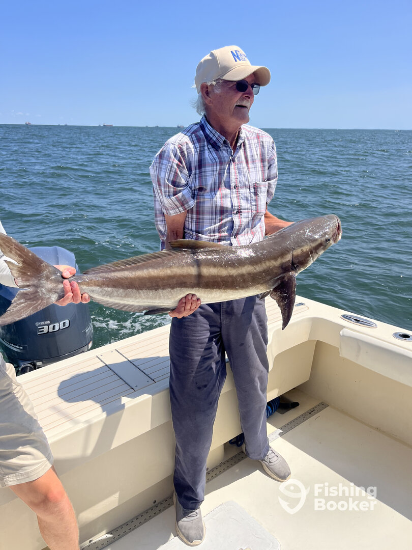 Gloucester Point Report Photo 0