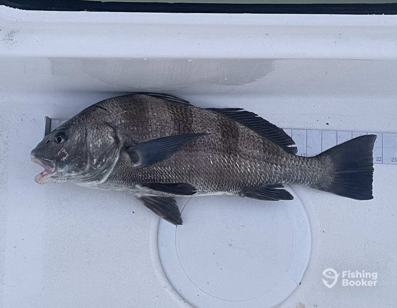 Morehead City Report Photo 0