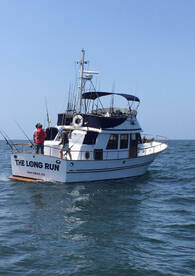 San Diego Report Photo 1