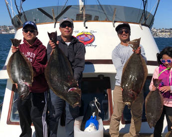 Bluefin, Yellowtail and a few Dorado are