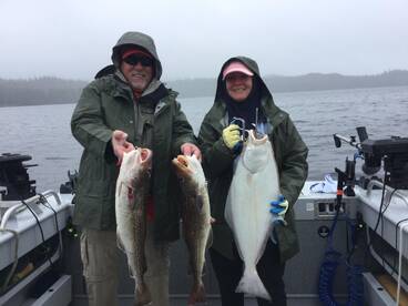 Ketchikan Report Photo 2