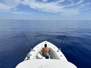 Sunshine and Great Vibes!