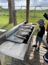 Houston Report Photo 1