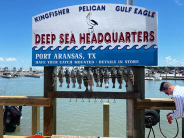 Port Aransas Report Photo 2