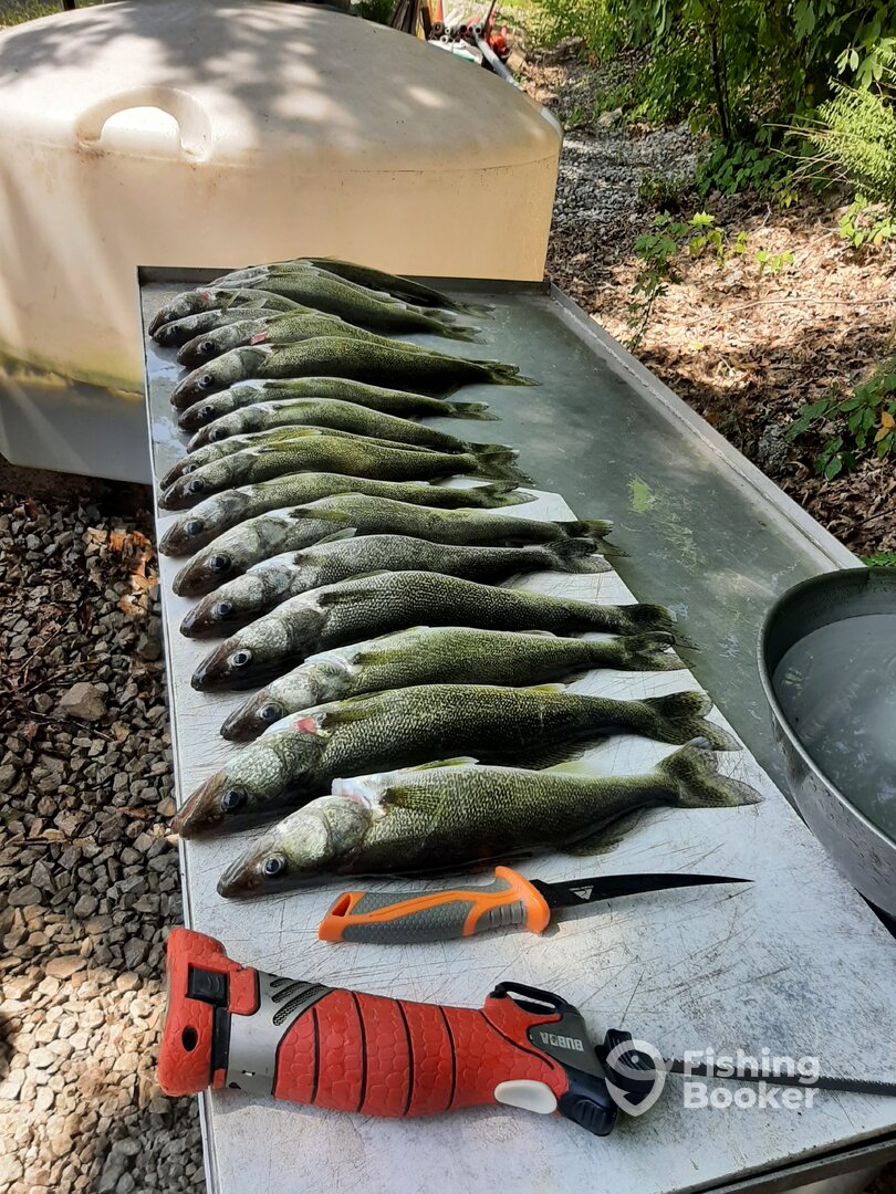 Vermilion Report Photo 0