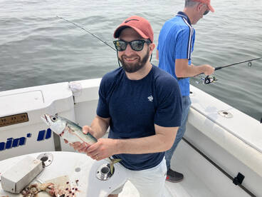 New York City Report Photo 2