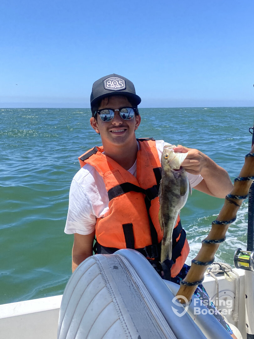 Ensenada Report Photo 0