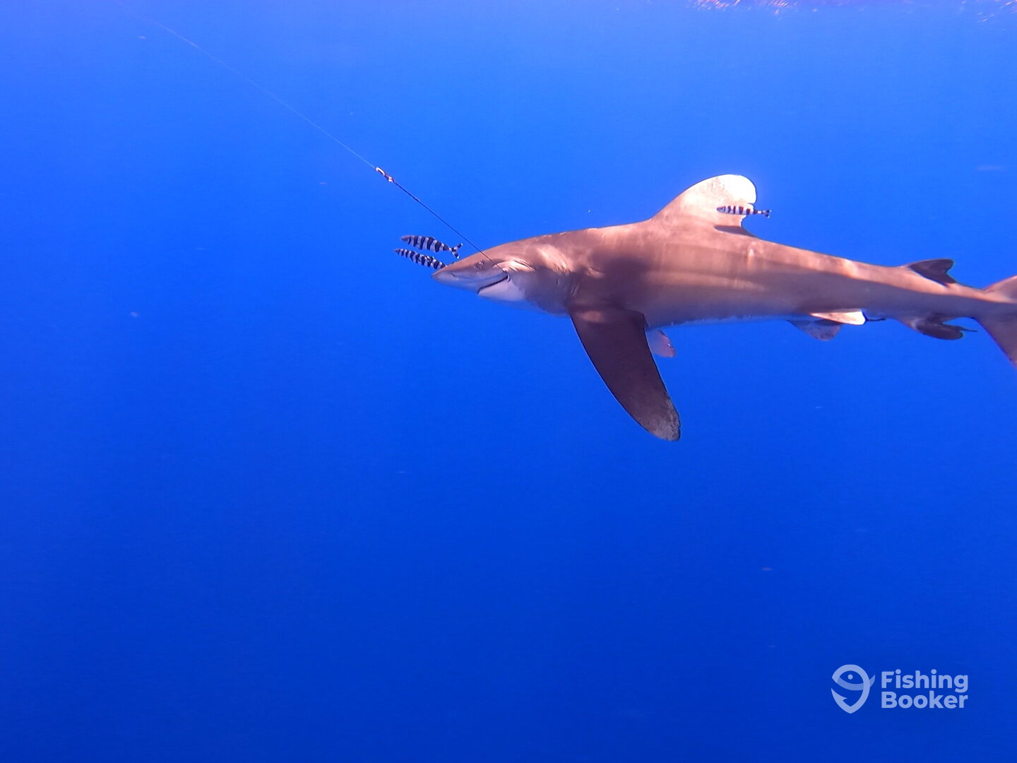 Le Morne Report Photo 0