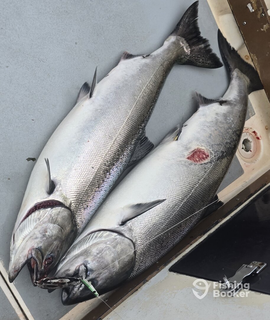 Sooke Verslag Foto 0