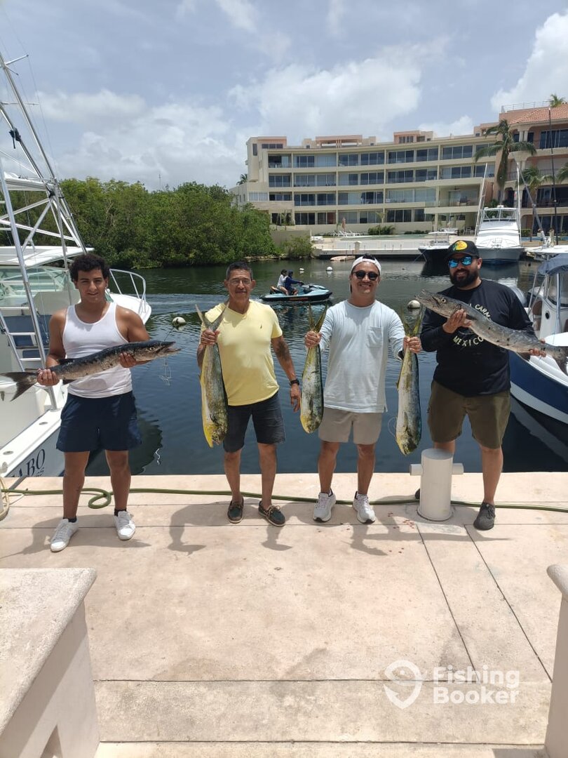 Playa Del Carmen Report Photo 0