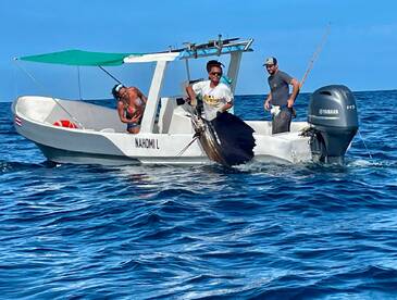 Tamarindo Report Photo 1