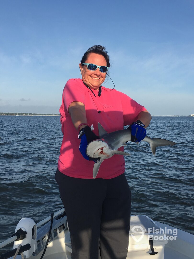 Mount Pleasant Report Photo 0