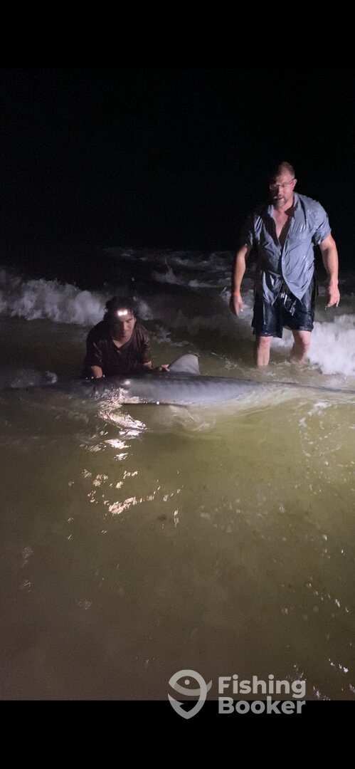 Destin Report Photo 0