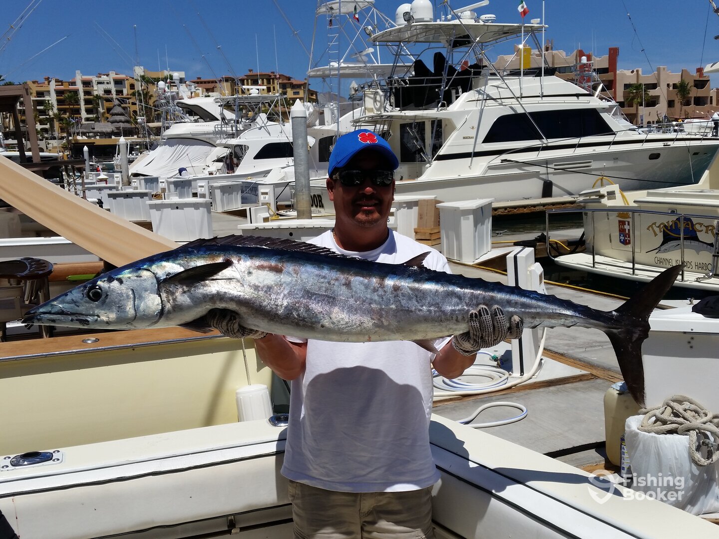 Cabo San Lucas Report Photo 0