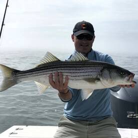 Dennis Report Photo 1