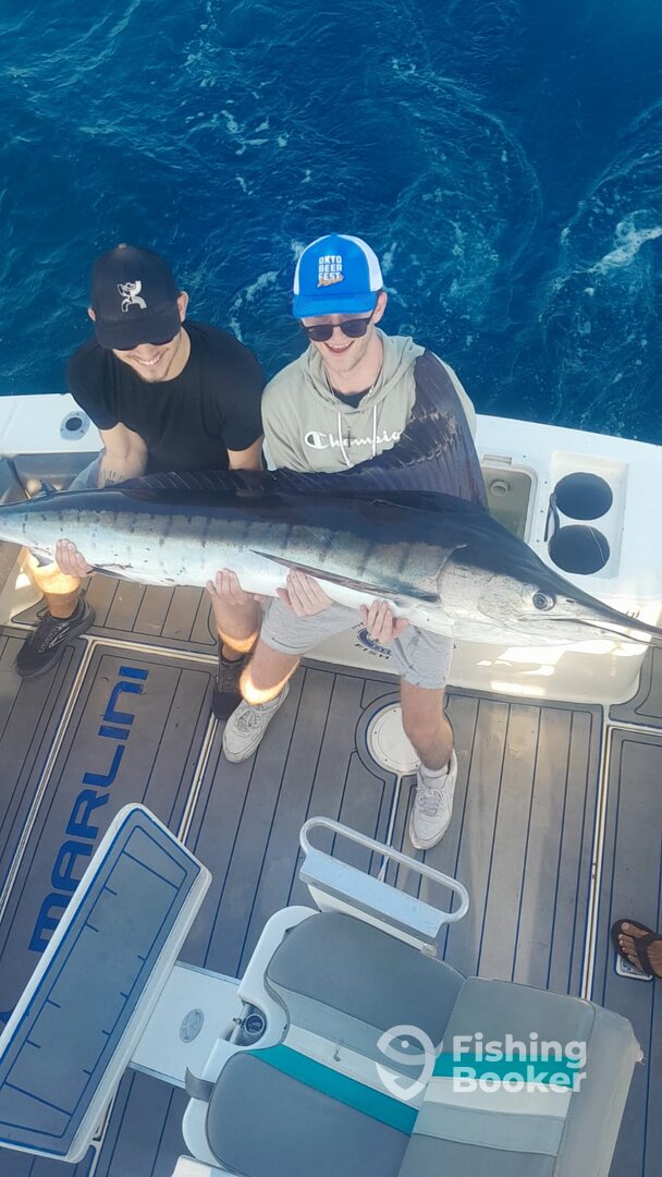 Cabo San Lucas Report Photo 0