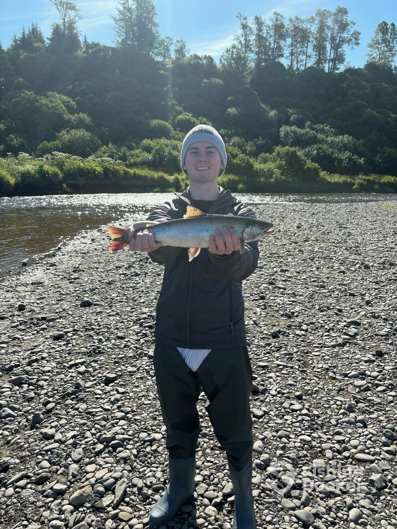 Anchor Point Report Photo 0