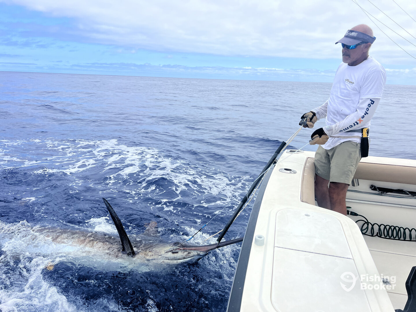 Calheta Report Photo 0