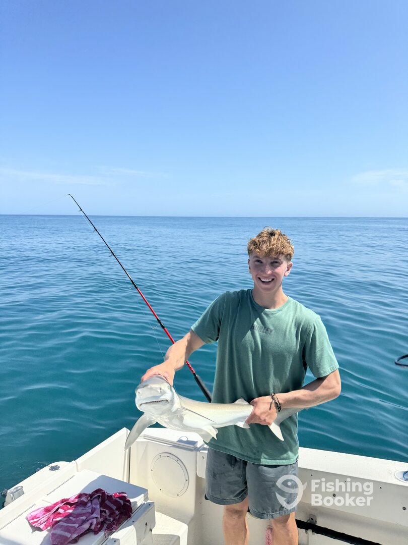 Port Orange Report Photo 0