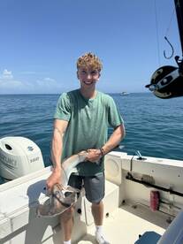 Port Orange Report Photo 1