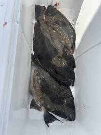 August ,things are heating up!!