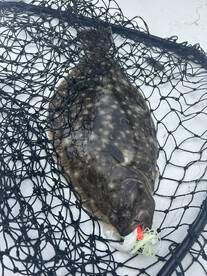 Dagsboro Report Photo 3