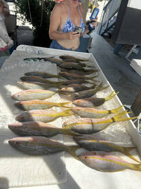 Islamorada Report Photo 1