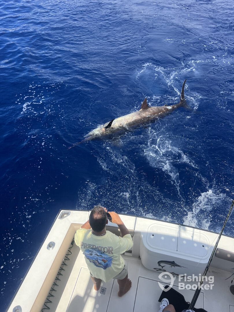 Calheta Report Photo 0