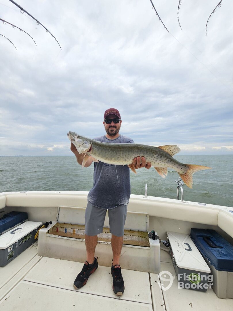 St. Clair Shores Report Photo 0