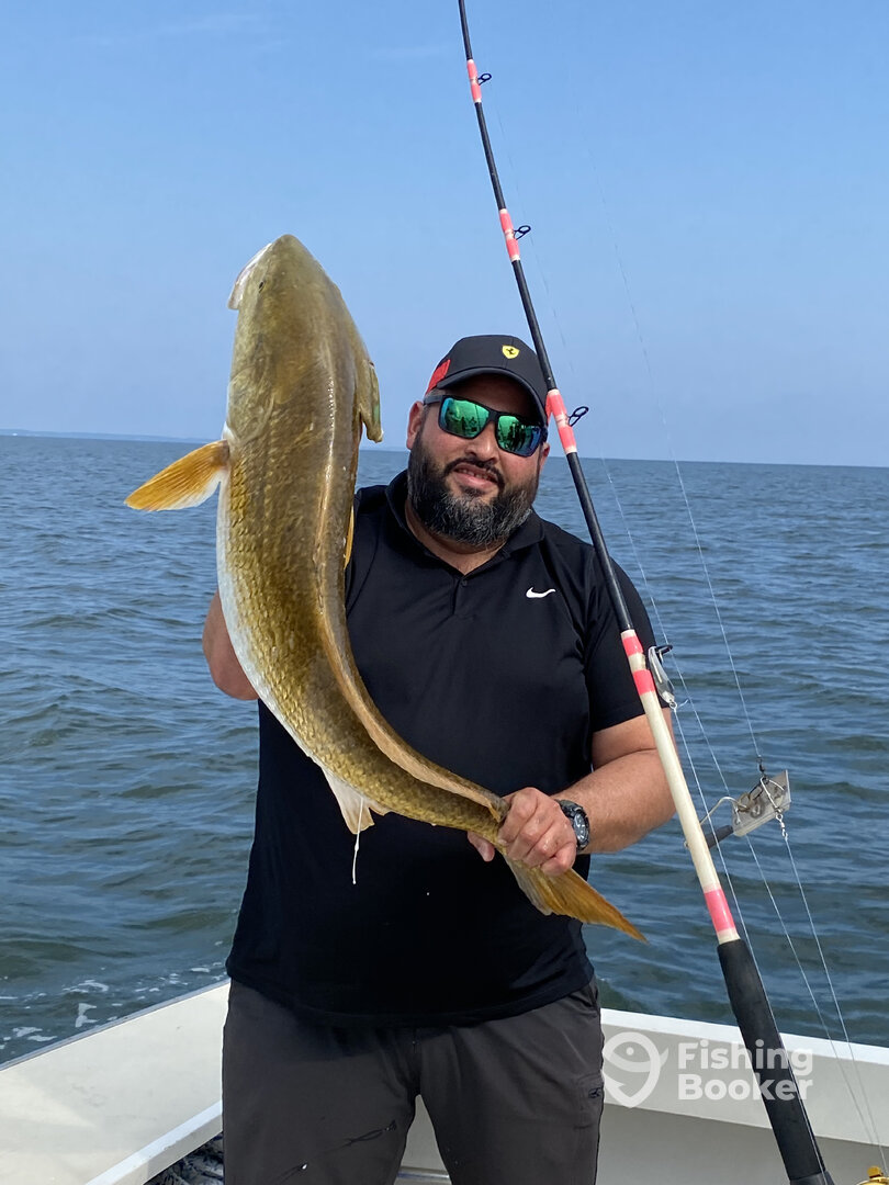 Reedville Report Photo 0