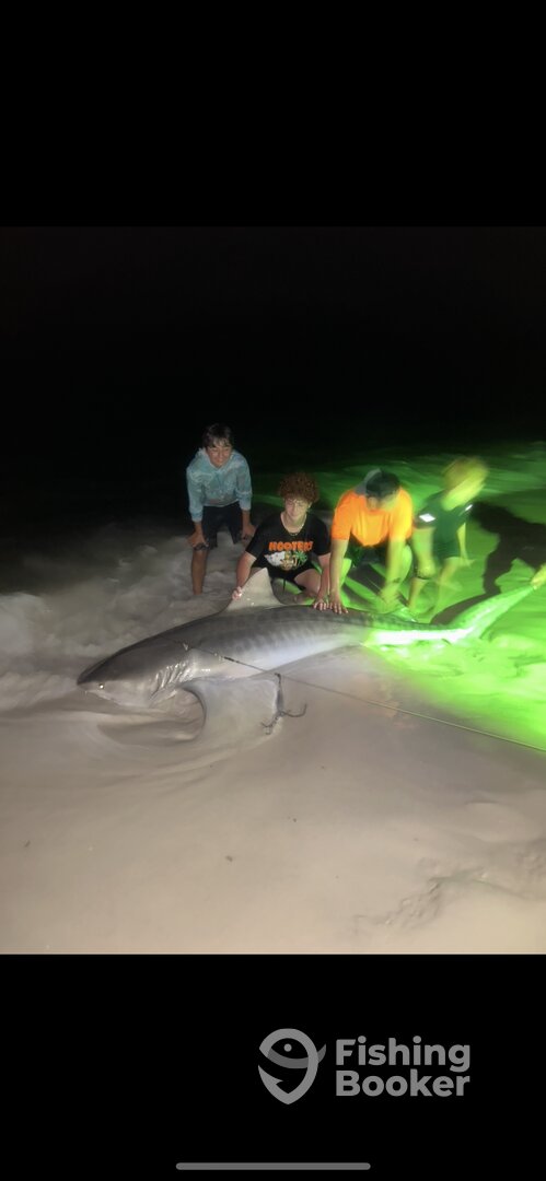 Destin Report Photo 0