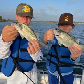 Grapevine Report Photo 1