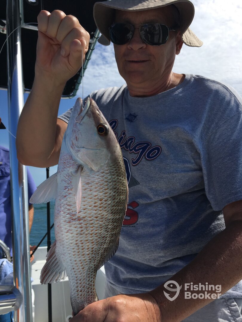 Bay Pines Report Photo 0