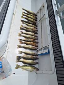Still catch walleye and perch out of Por