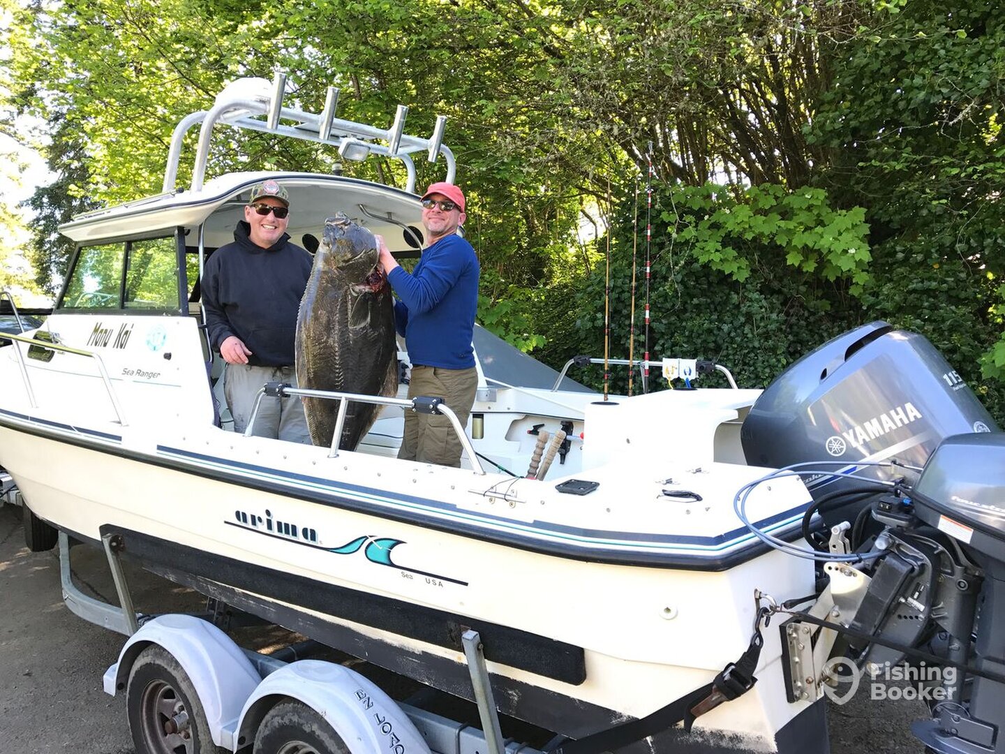 Newport Report Photo 0