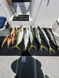 San Diego Report Photo 1