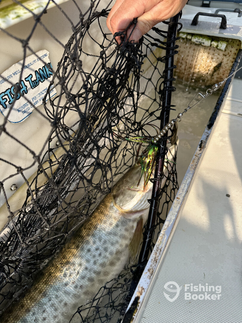 St. Clair Shores Report Photo 0