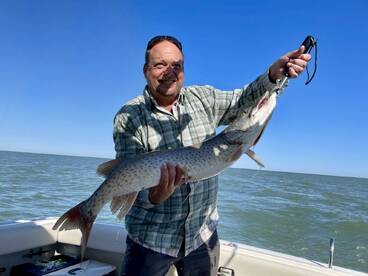 St. Clair Shores Report Photo 2