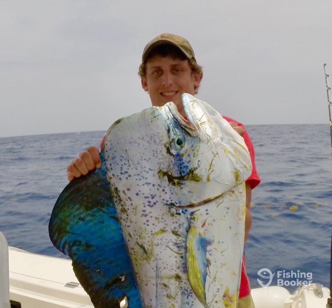 Puerto Aventuras Report Photo 0