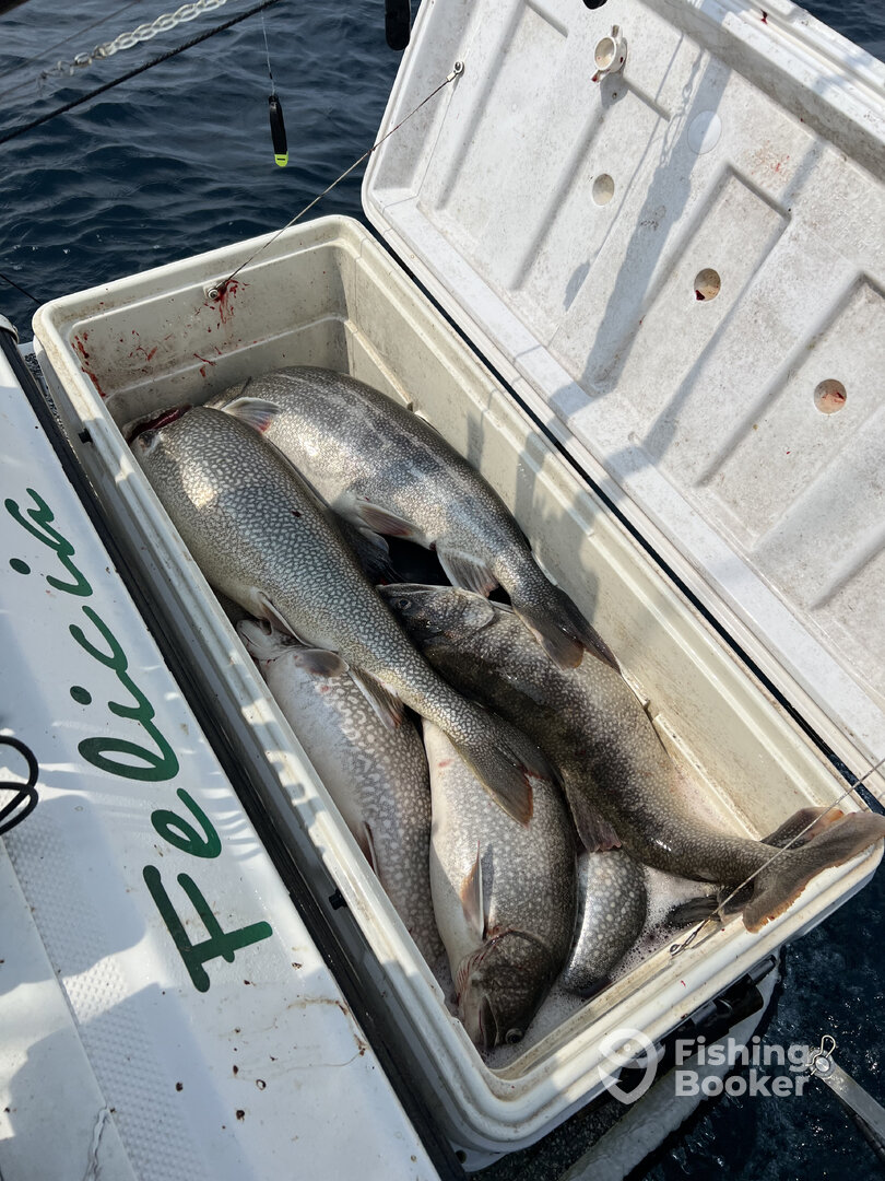 Harrisville Report Photo 0